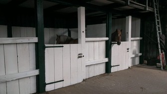 Bild vom Stall